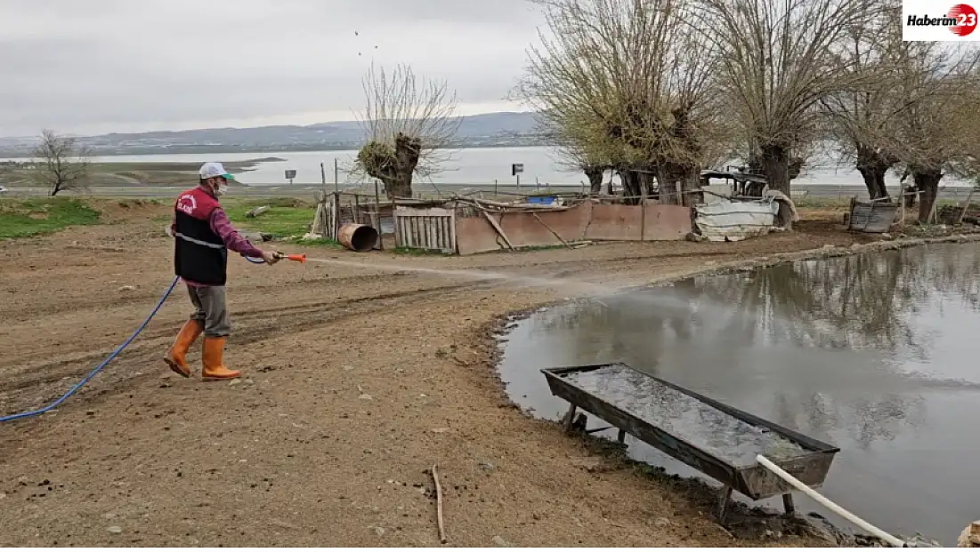 Elazığ İl Özel İdaresi: Larva İlaçlama Çalışmalarımız Devam Ediyor