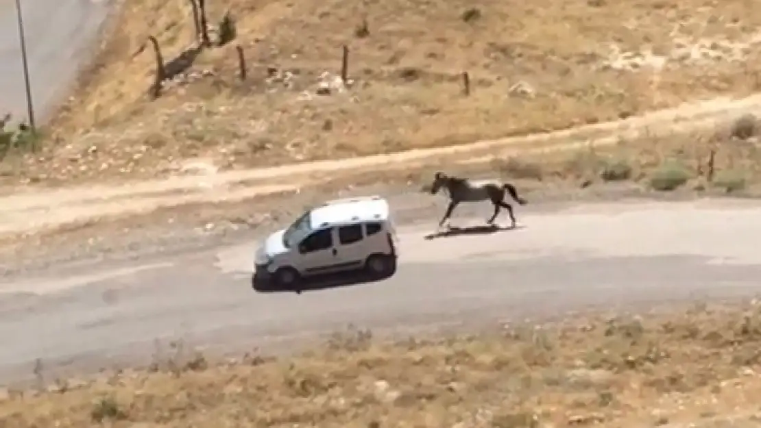 Atı aracın arkasına bağlayıp koşturan şahsa ceza