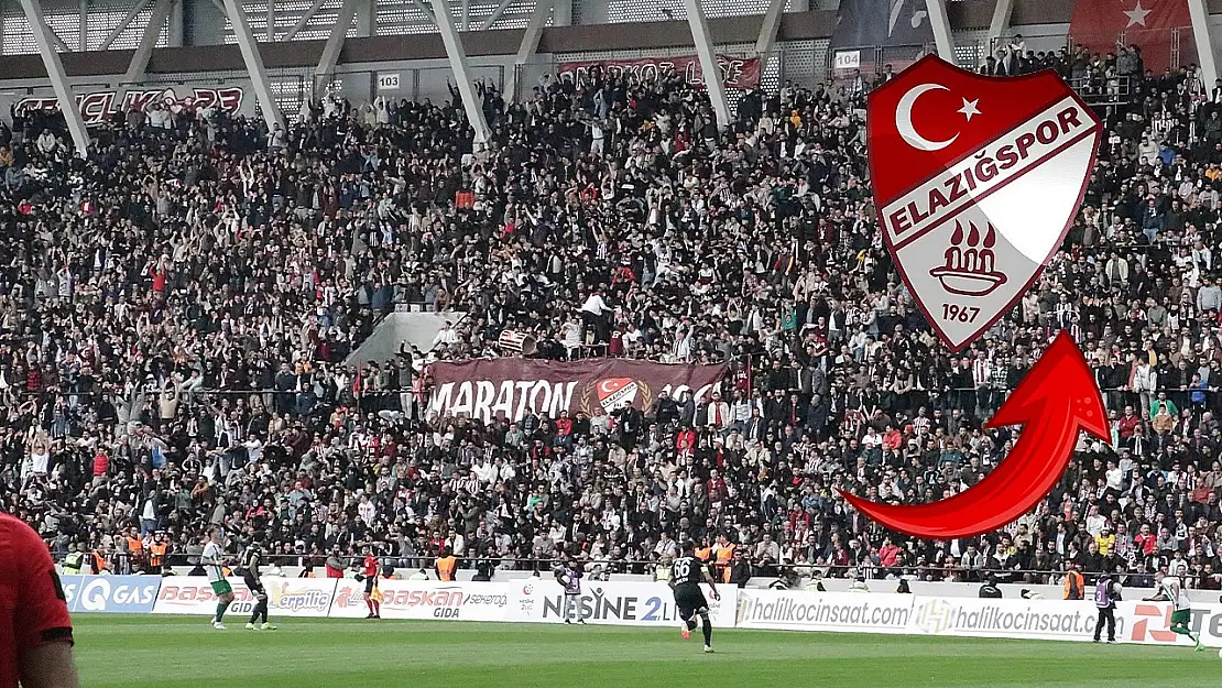 Çimentaş Elazığspor'a taraftar olayları nedeniyle para cezası