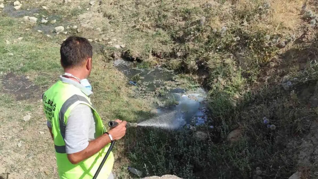 Elazığ'da  ilaçlama çalışmaları sürüyor