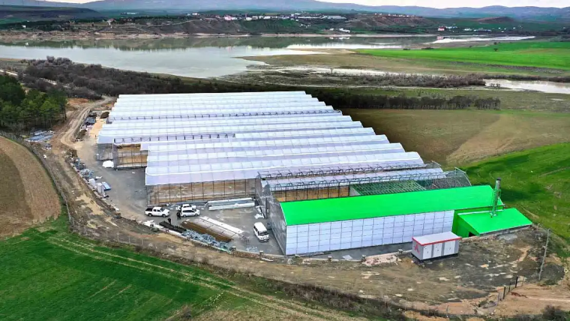Elazığ'da  jeotermal sera sahasının ilk etap çalışmaları tamamlandı