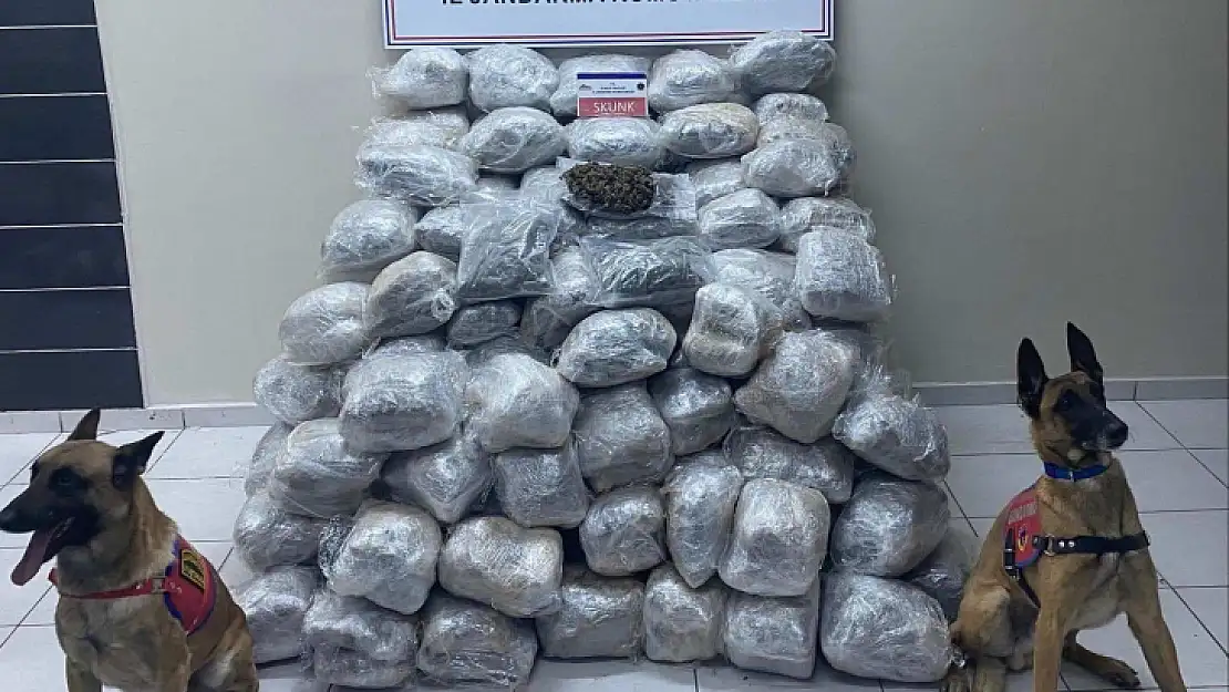 Elazığ'da 138 kilo skunk ele geçirildi