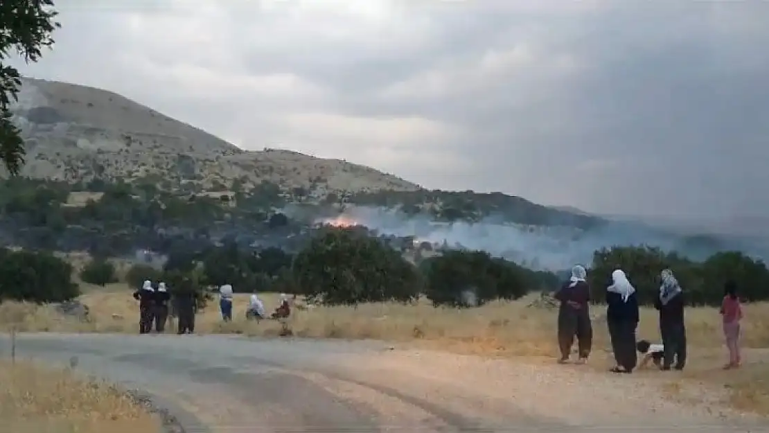 Elazığ'da düşen yıldırım otluk alanları yaktı