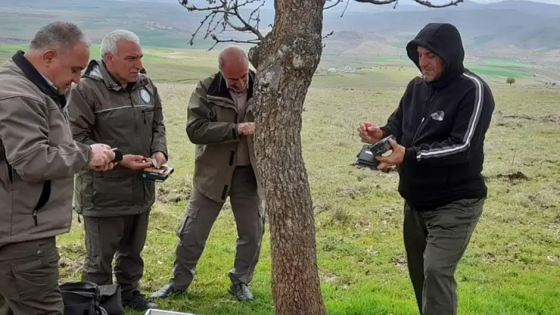 Elazığ'da fotokapanların bakımı yapıldı