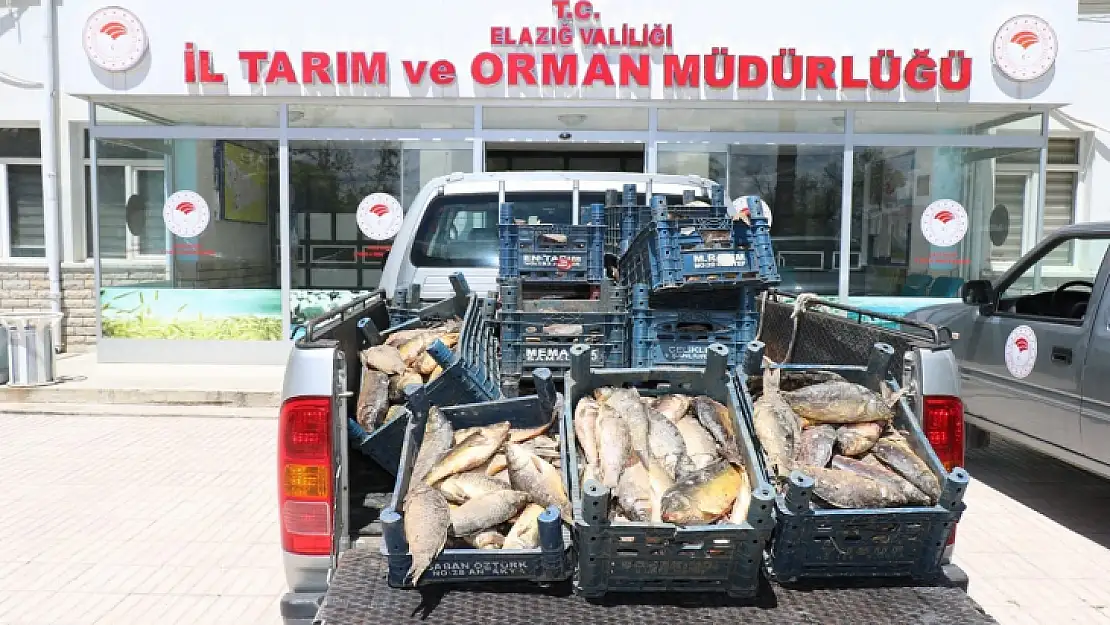 Elazığ'da kaçak avlanan 84 kişiye 350 bin lira ceza