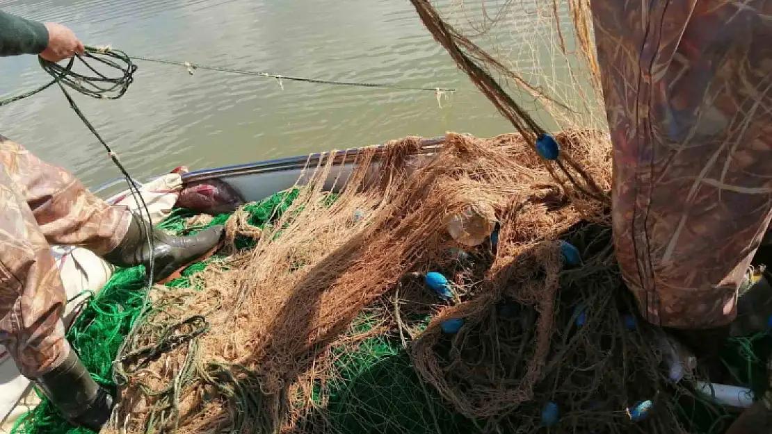 Elazığ'da kaçak avlandığı tespit edilen 100 kilo canlı balık ele geçirildi