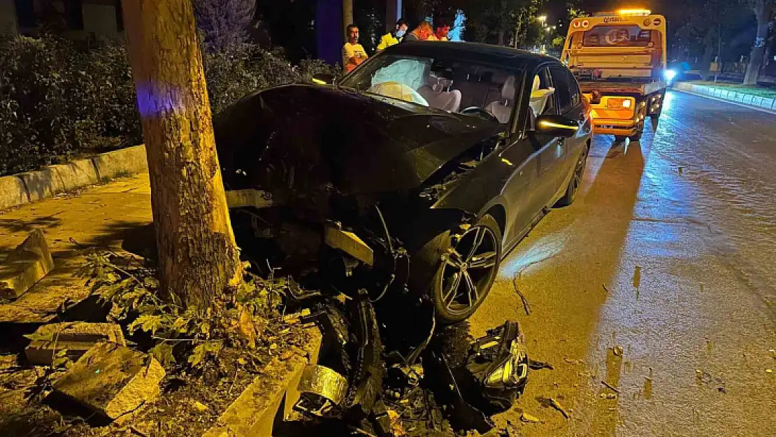 Elazığ'da otomobil ağaca çarptı: 1 yaralı