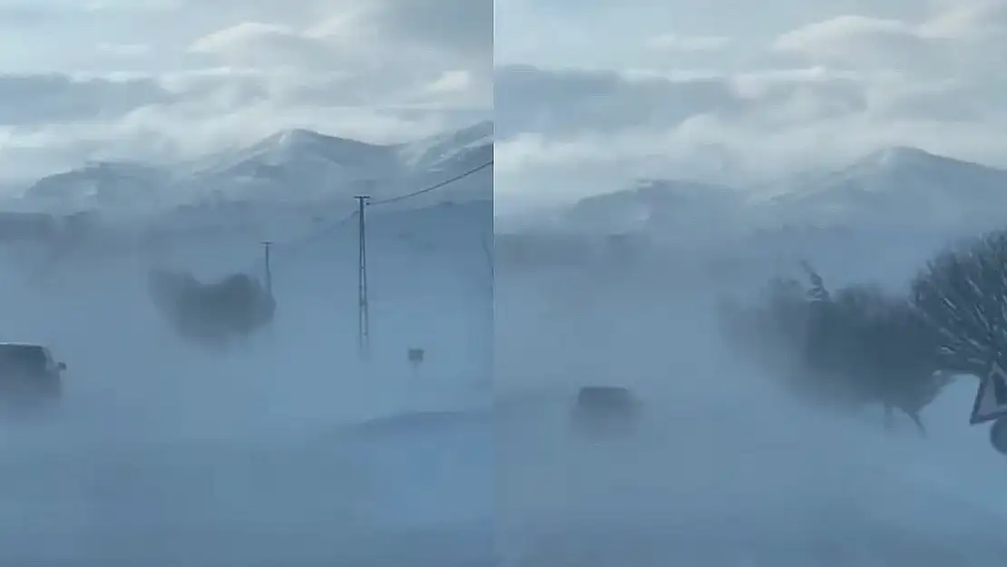Elazığ'da sis sürücülere zor anlar yaşattı
