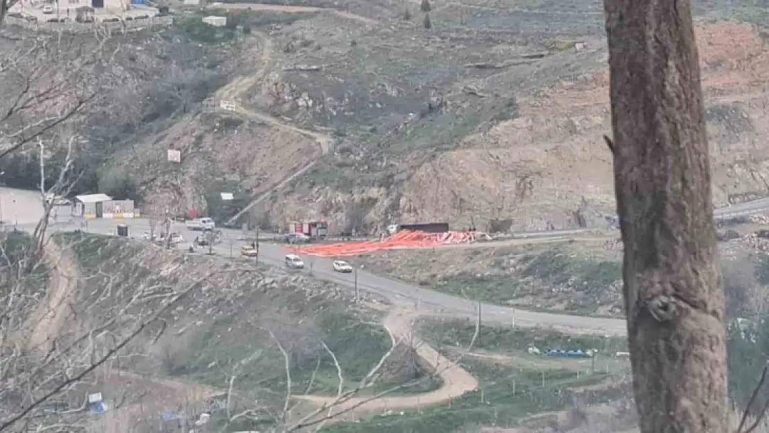 Elazığ'da virajı alamayan kanyom devrildi: 1 yaralı