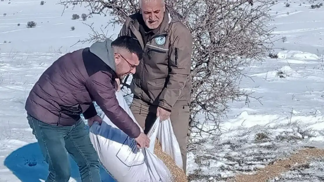 Elazığ'da yaban hayvanları için doğaya yem bırakıldı