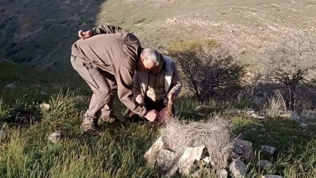 Elazığ'da yasa dışı avcılık yapan 1 kişiye idari işlem uygulandı