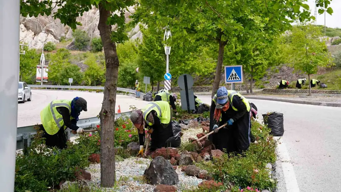 Elazığ'da yeşil alanlarda bahar temizliği