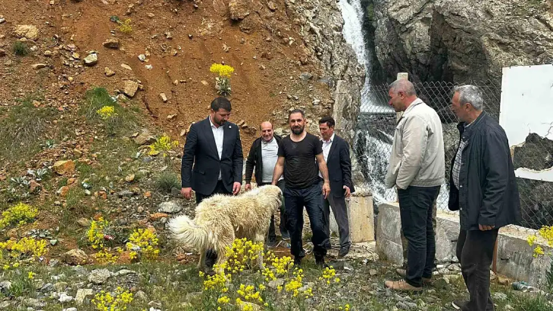 İhbar kendisine geldi, belediye başkanı köpek kurtarma operasyonuna katıldı