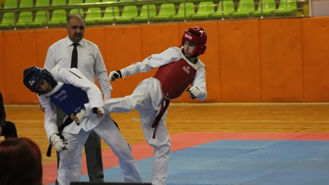 Taekwondo müsabakaları tamamlandı