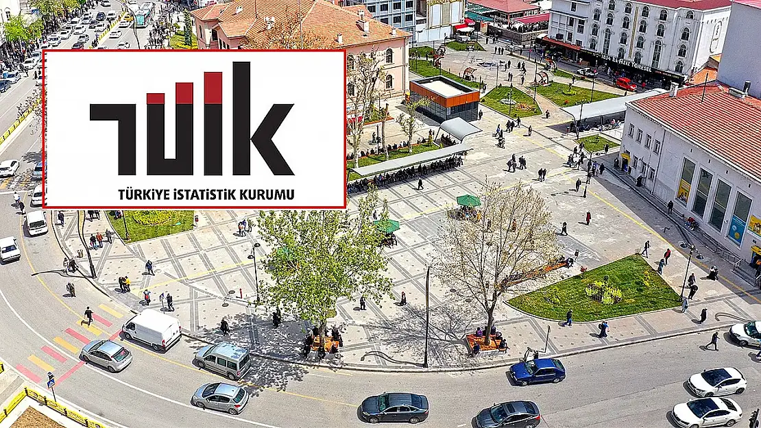 TÜİK Elazığ'da canlı doğan bebek sayısını açıkladı
