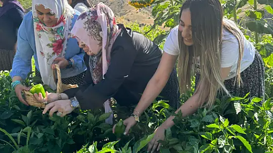 AK Kadınlar, Ekip Ruhuyla Sahada