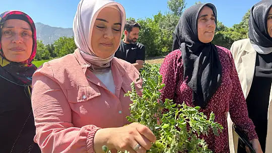 AK Kadınlar, Ekip Ruhuyla Sahada