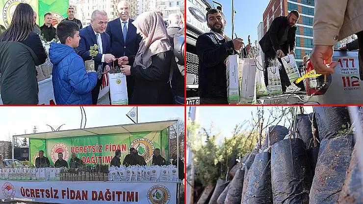 23 bin fidan klişesi