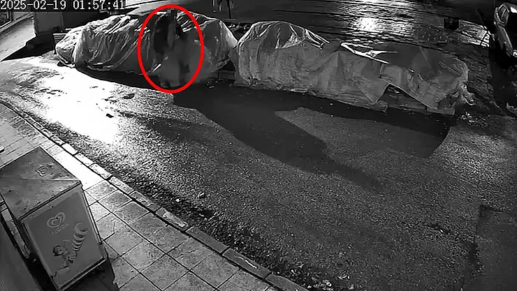 Elazığ'da hırsızın çaldığı bu ürün yok artık dedirtti