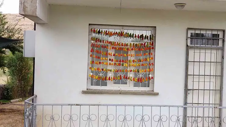 Elazığ'da kadınların kış hazırlığı renkli görüntüler oluşturdu