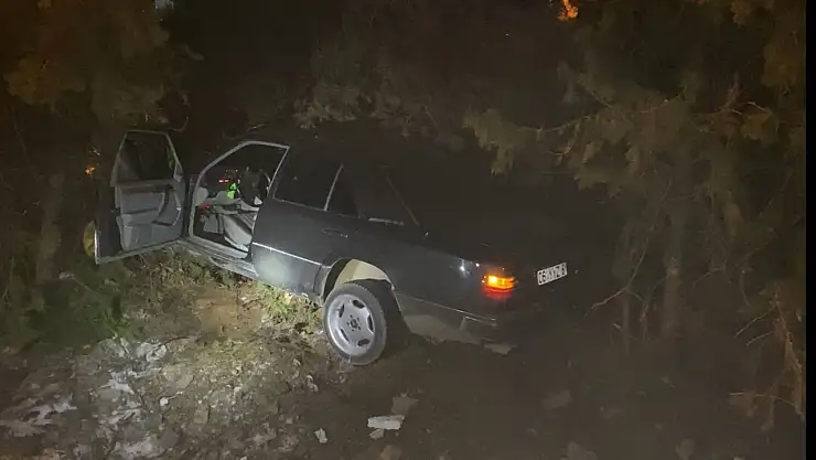 Elazığ'da otomobil, ağaçlara çarptı: 4 yaralı