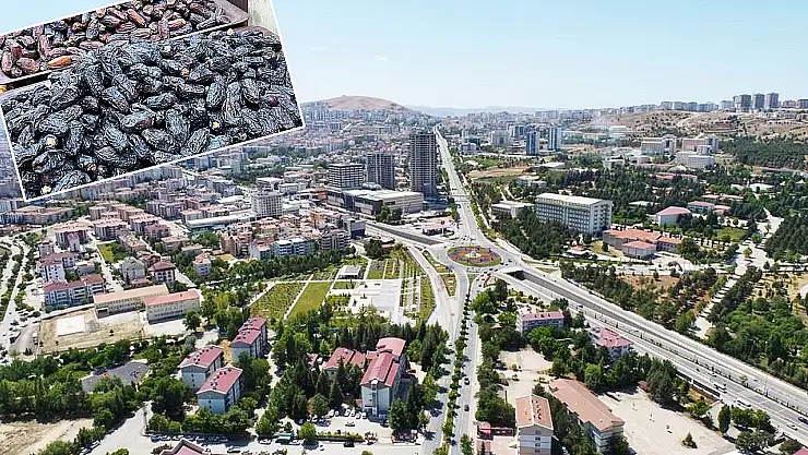 Elazığ'da satışlar yüzde 70 düştü, esnaf gelişlerine sevinemedi